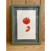 Lycopersicon lycopersicum | DOMATES