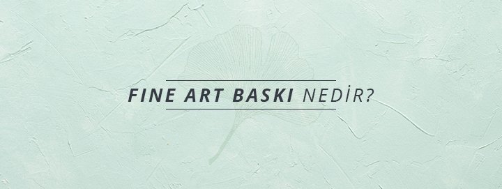 Fine Art Baskı Nedir? | OMNE