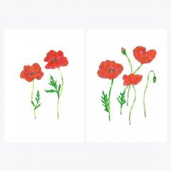 Papaver sp. | GELİNCİK | Fine Art Print Poster Seti