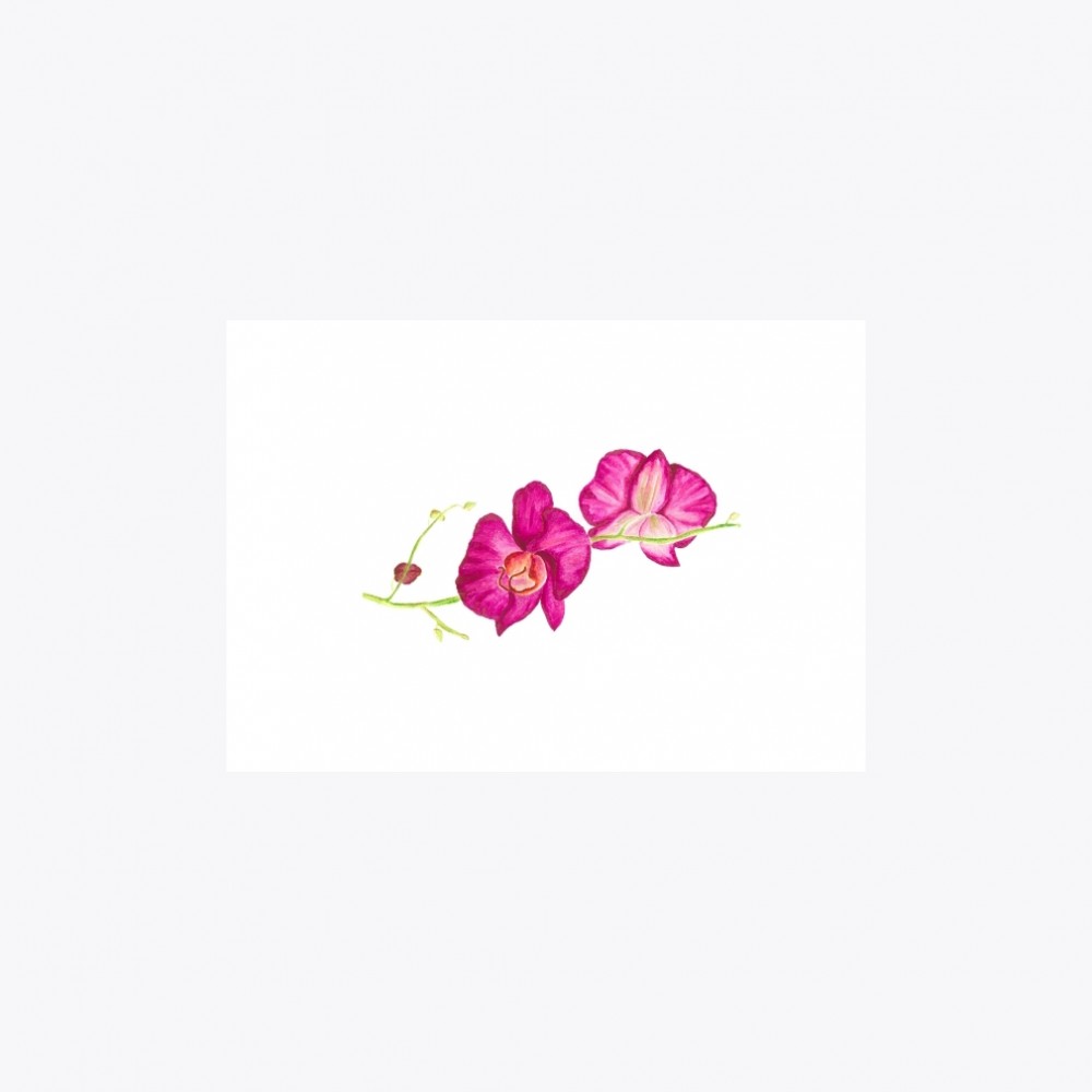 Orkide Çiçeği Yatay Dallı| Print