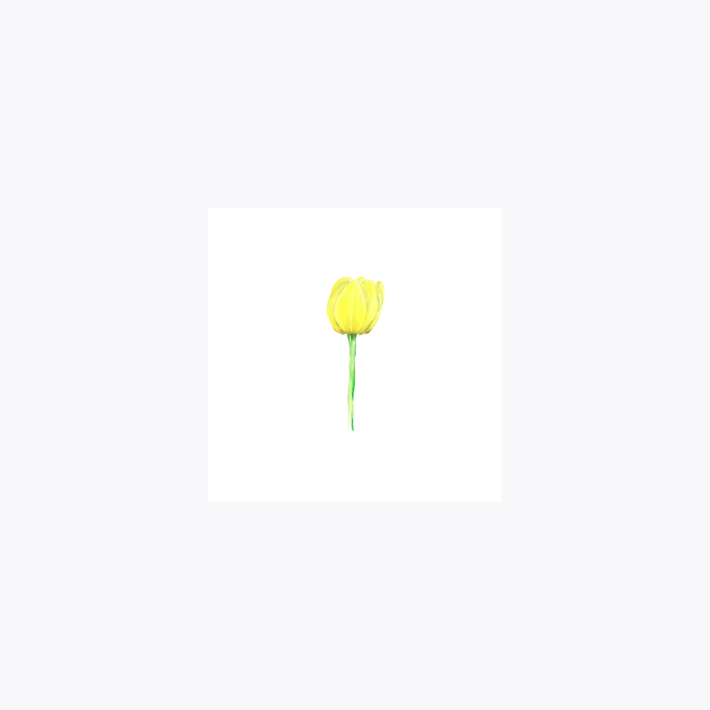 Lale Çiçeği Tekli | Fine Art Print
