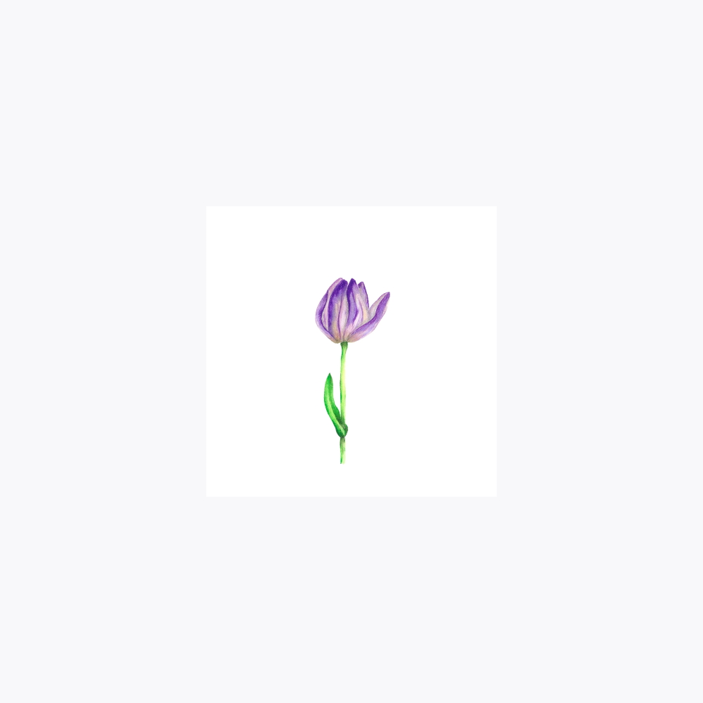 Lale Çiçeği Açılan Gonca | Print
