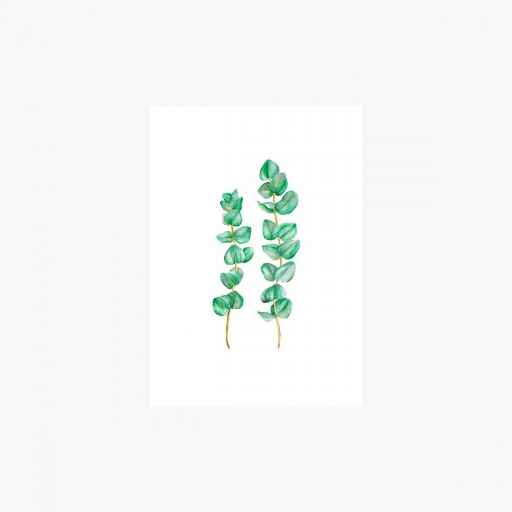 Okaliptus İkili Dal | Fine Art Print