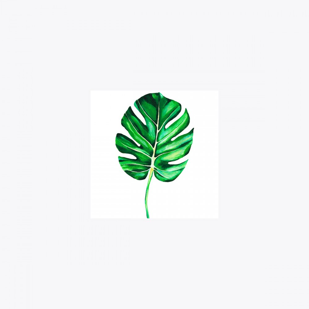 Monstera deliciosa Tekli Yaprak | Print