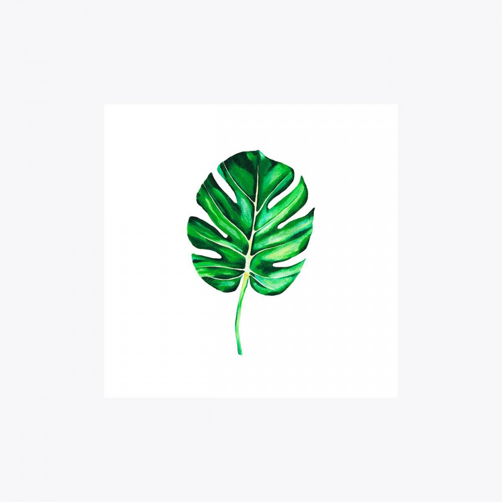 Monstera deliciosa Tekli Yaprak | Print