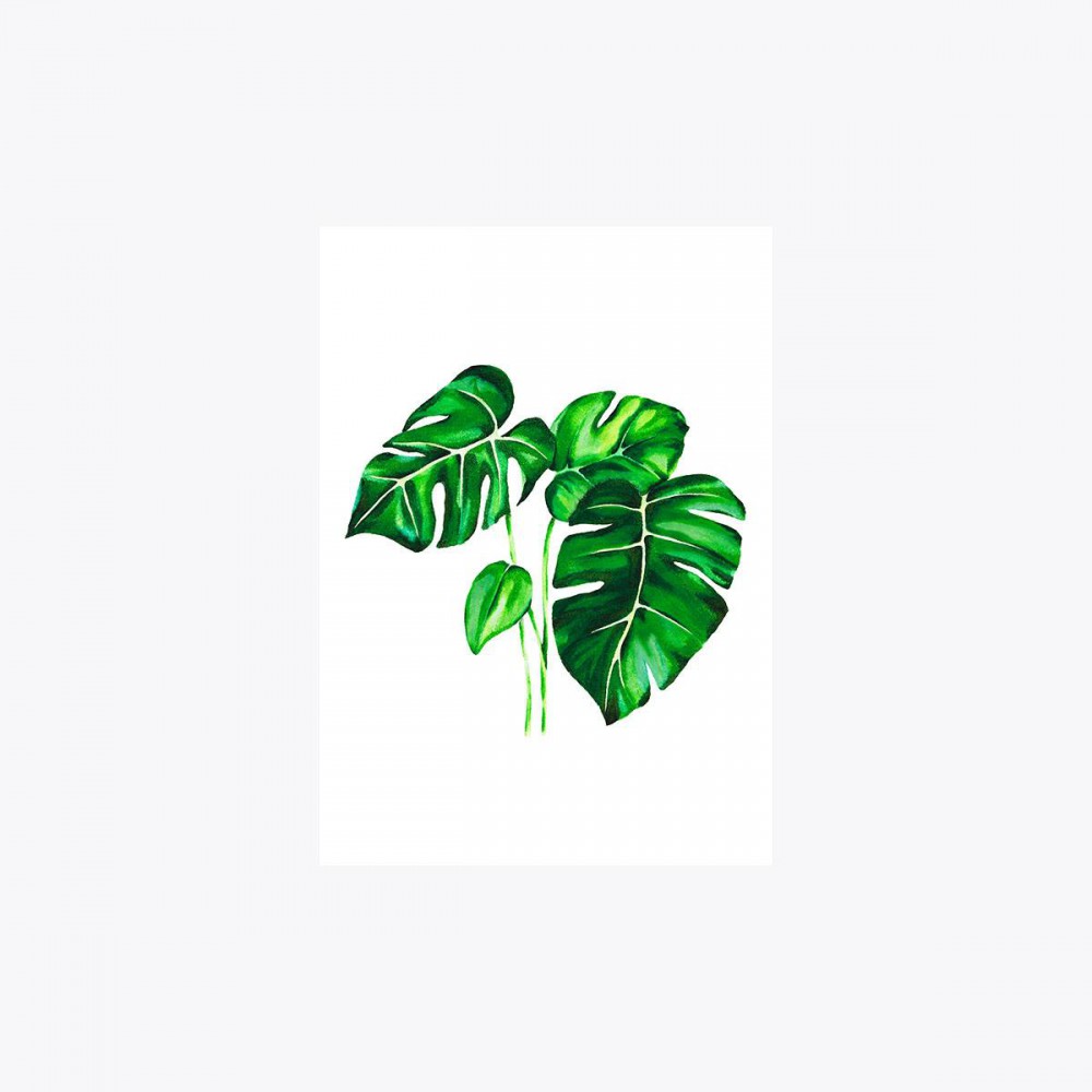 Monstera deliciosa Çoklu Yaprak | Fine Art Print