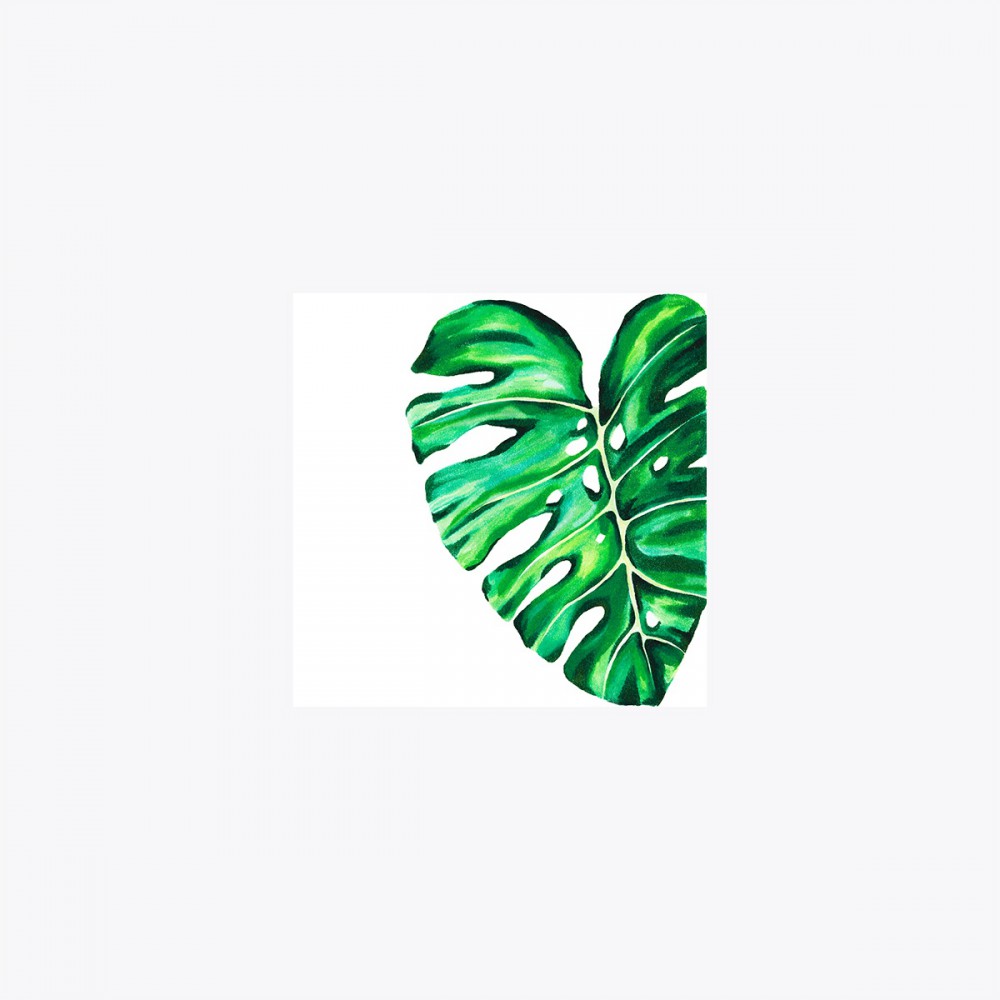 Monstera deliciosa Yaprak Kesit | Print