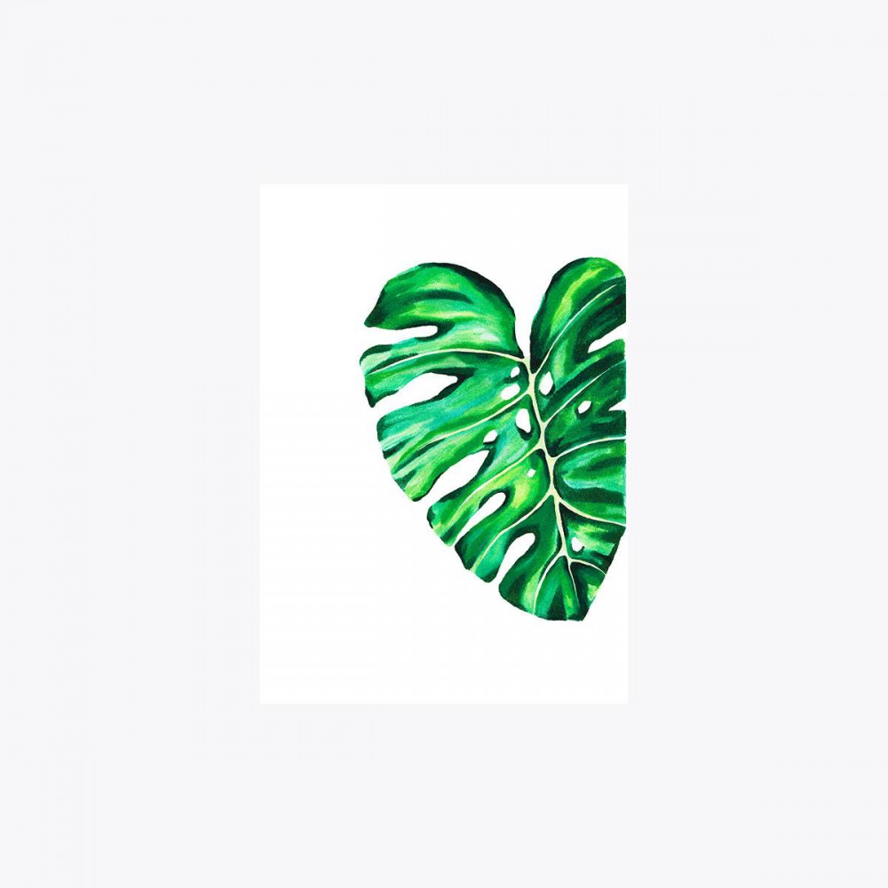 Monstera deliciosa Yaprak Kesit | Print