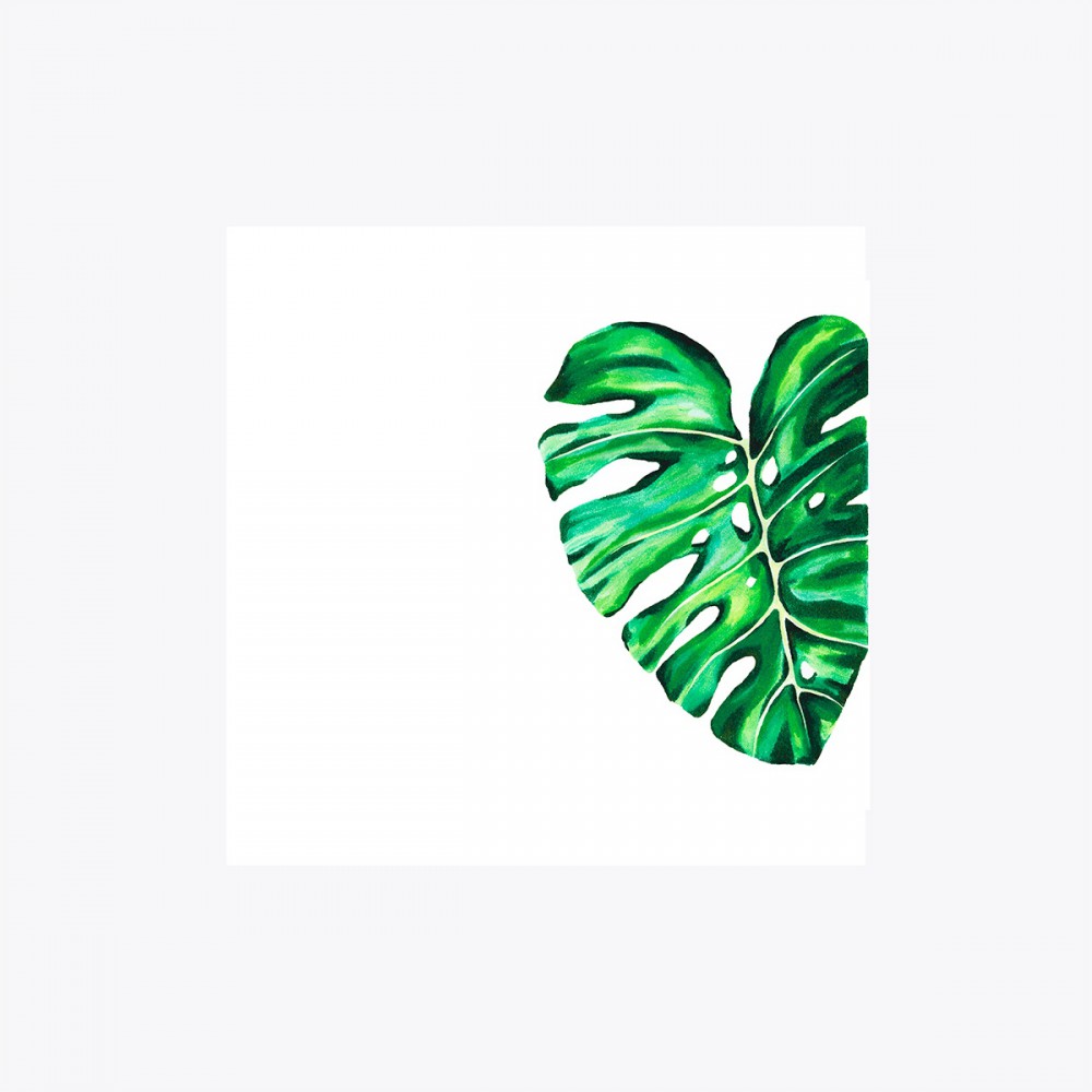 Monstera deliciosa Yaprak Kesit | Fine Art Print