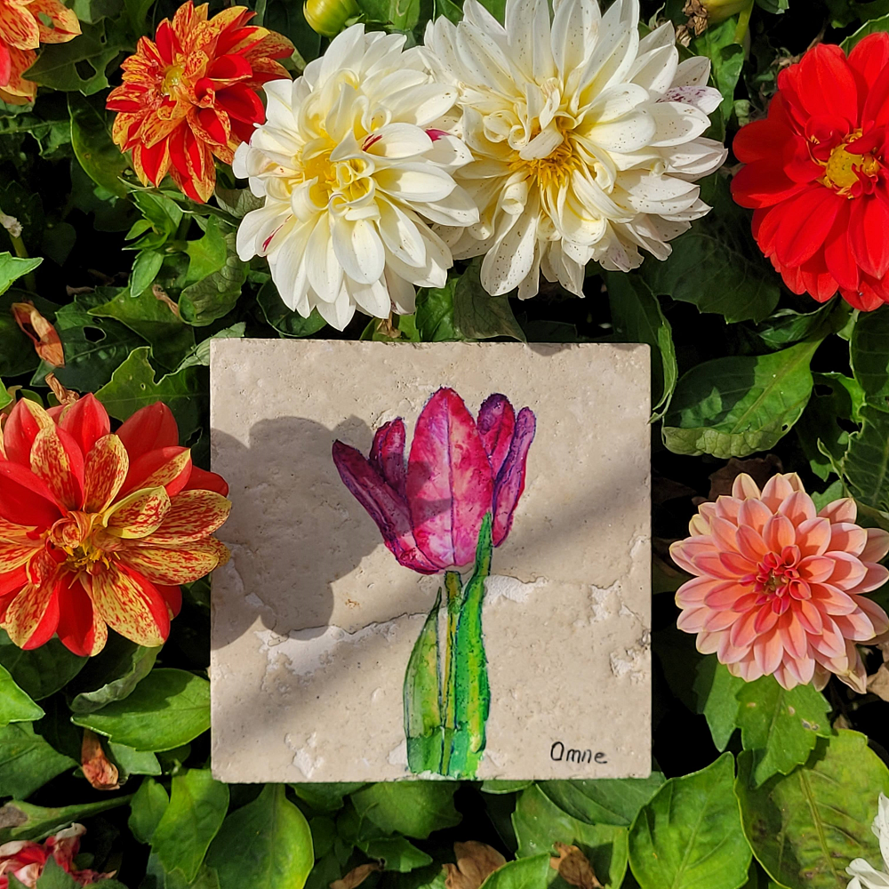 Tulipa sp. |Lale Doğal Taş Bardak Altlığı