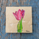 Tulipa sp. |Lale Doğal Taş Bardak Altlığı