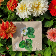 Fragaria vesca | Çilek Çiçeği Doğal Taş Bardak Altlığı Fragaria vesca | Çilek Çiçeği Doğal Taş Bardak Altlığı