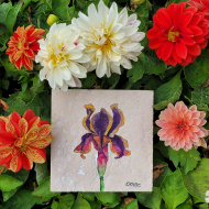 Iris sp. | Süsen Doğal Taş Bardak Altlığı Iris sp. | Süsen Doğal Taş Bardak Altlığı