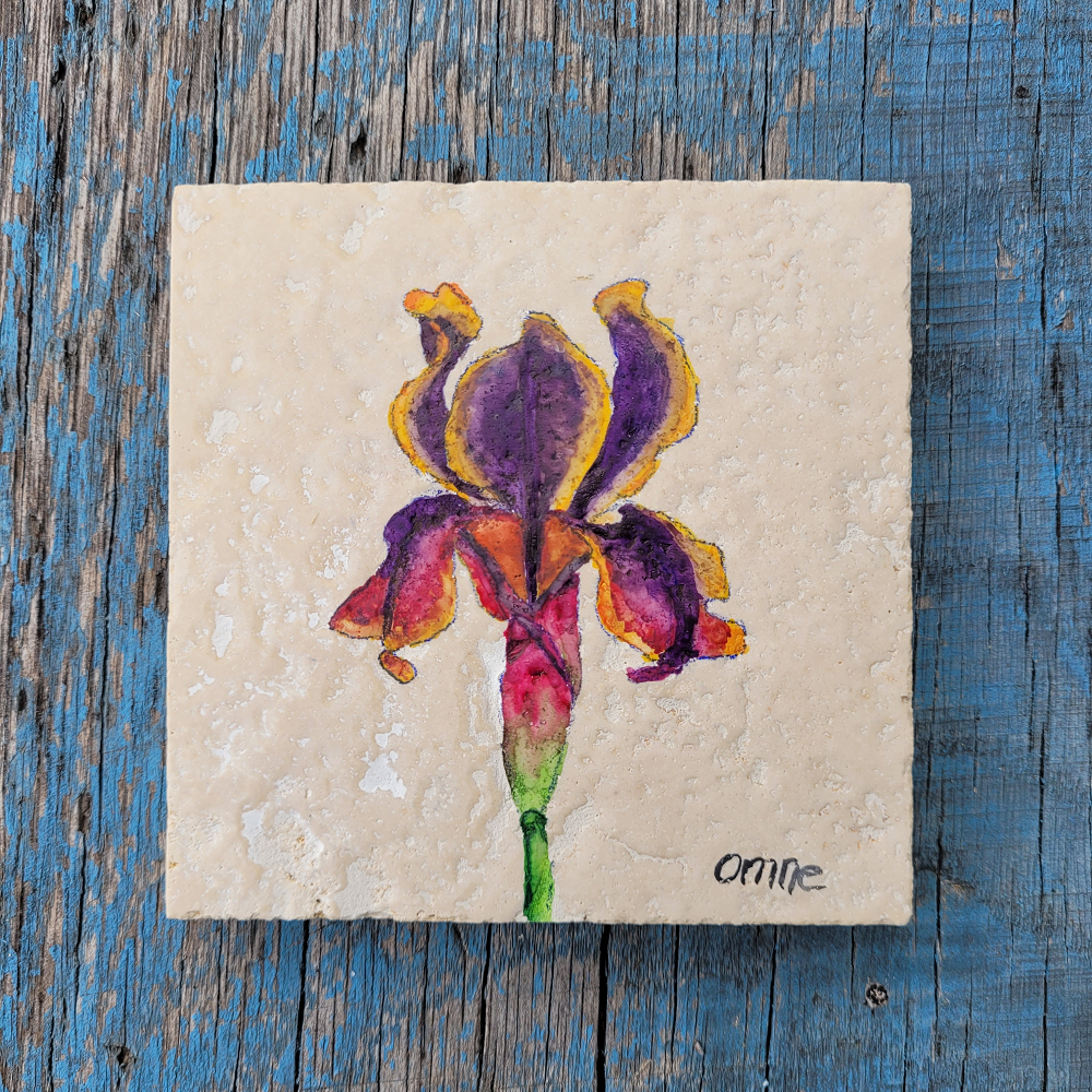 Iris sp. | Süsen Doğal Taş Bardak Altlığı