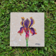 Iris sp. | Süsen Doğal Taş Bardak Altlığı
