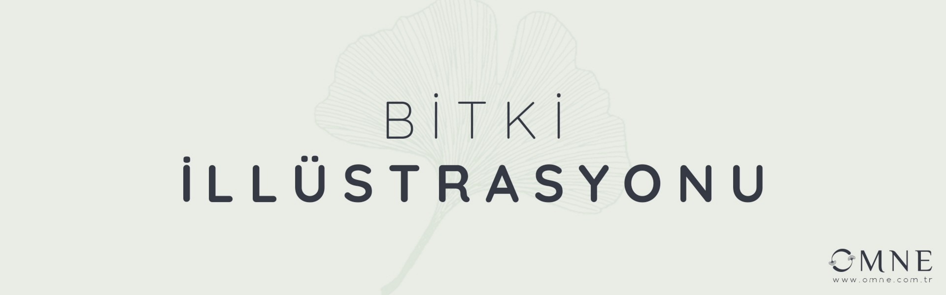 bitki-illustrasyonu